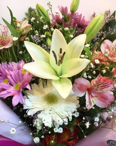 Flores