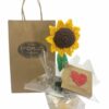 Girasol Craft.