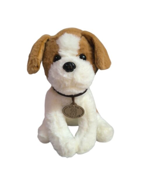 Perro bicolor con collar