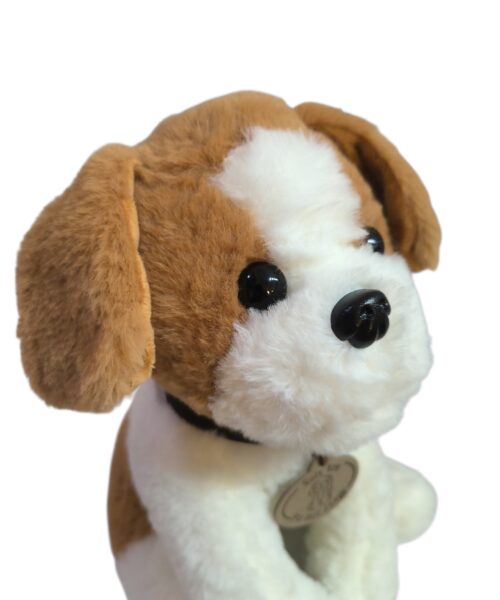 Alternative view of Perro bicolor con collar