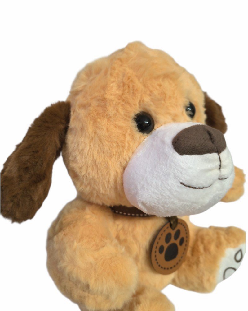 Perro marrón claro con collar - Imagen 2